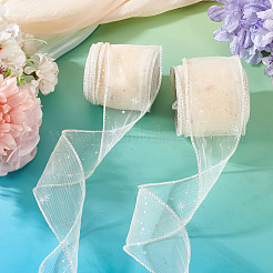 Polyester Deco Mesh Ribbons&nbsp;OCOR-TAC0024-004F