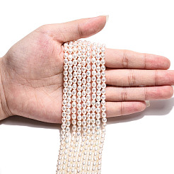 Natural Cultured Freshwater Pearl Beads Strands&nbsp;PEAR-N024-04-4AB