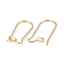 316 Surgical Stainless Steel Hoop Earring Findings&nbsp;STAS-A056-12G-E
