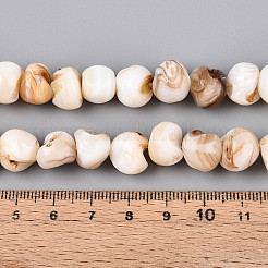 Natural Freshwater Shell Beads Strands&nbsp;SHEL-T020-17