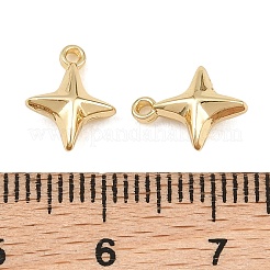 Alloy Charms&nbsp;AL-CBA83D5-03G
