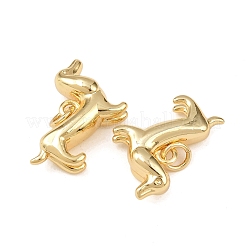 Brass Pendants&nbsp;KK-L255-20G-02