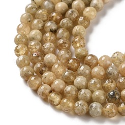 Natural Yellow Garnet Beads Strands&nbsp;G-Z129-C01-6mm-01