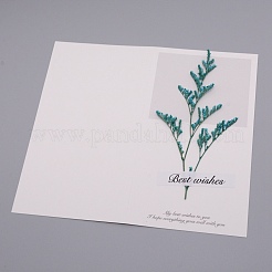 Paper Cards&nbsp;DIY-WH0183-41D