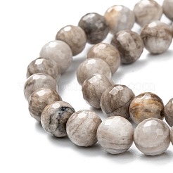Natural Silver Leaf Jasper Beads Strands&nbsp;G-E444-35A-8mm