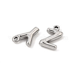 304 Stainless Steel Charms&nbsp;SA-CBA6262-01P