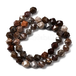 Natural Petrified Wood Beads Strands&nbsp;G-Z119-A21-02