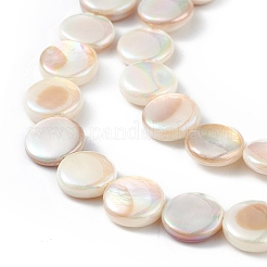 Electroplated Natural Freshwater Shell Beads Strands&nbsp;X-SHEL-K001-002