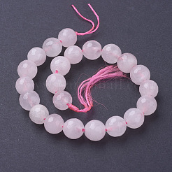 Natural Rose Quartz Beads Strands&nbsp;G-G099-F8mm-15