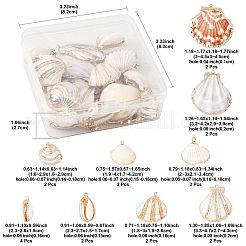 20Pcs 9 Styles Electroplated Natural Shell Pendants&nbsp;SSHEL-FS0001-12