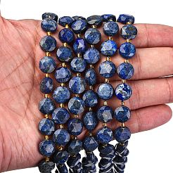 Natural Lapis Lazuli Beads Strands&nbsp;G-C116-A110-01