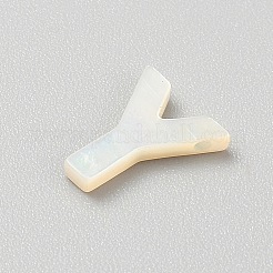 Freshwater Shell Beads&nbsp;SHEL-WH0006-02Y