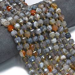 Natural Botswana Agate Beads Strands&nbsp;G-K389-A66-01