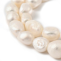 Natural Cultured Freshwater Pearl Beads Strands&nbsp;PEAR-P064-19K-02B