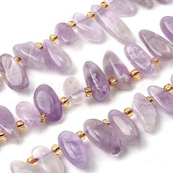 Natural Amethyst Beads Strands&nbsp;G-Z091-A02