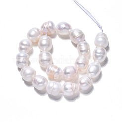 Natural Cultured Freshwater Pearl Beads Strands&nbsp;PEAR-N012-07C
