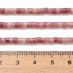 Natural Rhodonite Beads Strands&nbsp;G-P608-A16-01