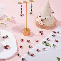 Alloy Enamel Charms&nbsp;ENAM-SC0004-25