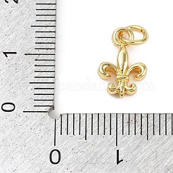 Brass Pendants&nbsp;KK-L231-09G