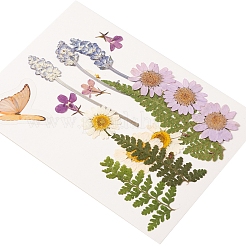 Pressed Dried Flowers&nbsp;DIY-YWC0001-94