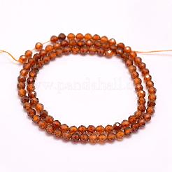 Natural Garnet Beads Strands&nbsp;G-F509-13-3mm