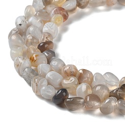 Natural Botswana Agate Beads Strands&nbsp;G-D081-A03