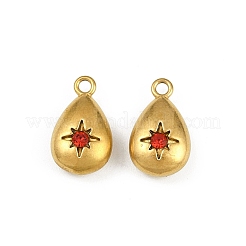 304 Stainless Steel Charms&nbsp;STAS-I342-09G