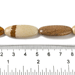 Natural Picture Jasper Beads Strands&nbsp;G-B078-E01-01
