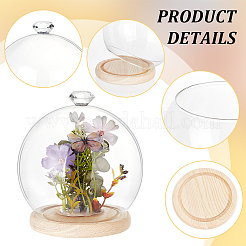 Diamond Glass Dome Cover&nbsp;AJEW-WH0348-294D-02