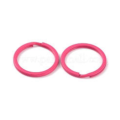 Spray-painted Iron Keychains Clasps&nbsp;IFIN-WH0063-13J