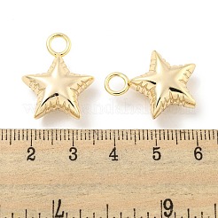 Brass Pendants&nbsp;KK-L211-009G-03