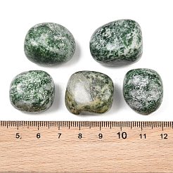Natural Green Spot Jasper Beads&nbsp;GG-CBAD0F6-B02-01