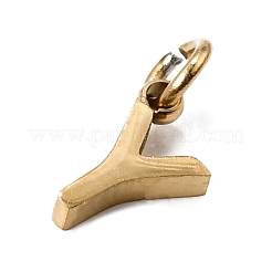 304 Stainless Steel Charms&nbsp;SA-CBABF3F-01G-Y