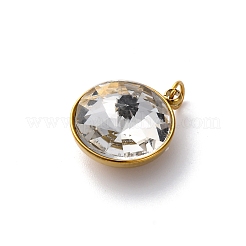 316 Stainless Steel Faceted Glass Pendants&nbsp;STAS-K258-46G-06