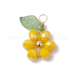 6Pcs 6 Styles Glass Pendants&nbsp;PALLOY-TA00142