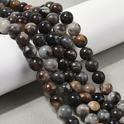 Natural Black Flower Amazonite Beads Strands&nbsp;G-G184-A05-01