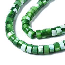 Natural Trochus Shell Beads Strands&nbsp;SHEL-S278-027C