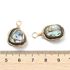 Natural Abalone Shell/Paua Shell Pendants&nbsp;PALLOY-JF05278