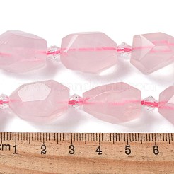 Natural Rose Quartz Beads Strands&nbsp;G-H095-A10-01