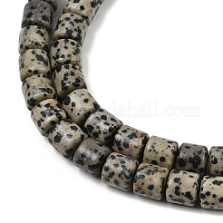 Natural Dalmatian Jasper Beads Strands&nbsp;G-G275-D18-10x10mm