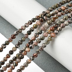 Natural Leopard Skin Jasper Beads Strands&nbsp;G-K365-C01-01