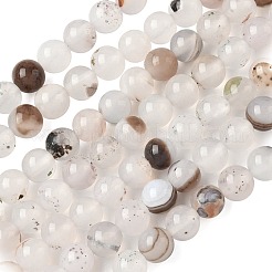Natural Dendritic Agate Beads Strands&nbsp;G-C011-6mm-01