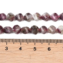 Natural Plum Blossom Tourmaline Beads Strands&nbsp;G-P611-C36-01