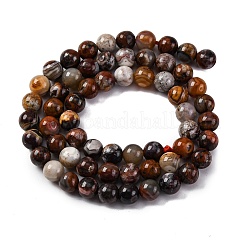 Natural Mexico Crazy Agate Beads Strands&nbsp;G-L615-A01-01