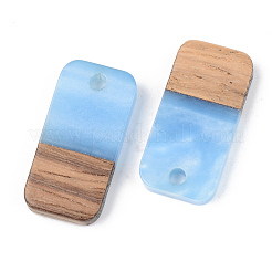 Opaque Resin & Walnut Wood Pendants&nbsp;RESI-S389-044A-C01