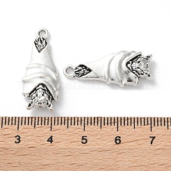 Tibetan Style Alloy Pendants&nbsp;TIBE-B002-02AS