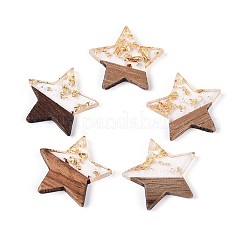 Resin & Walnut Wood Pendants&nbsp;RESI-T057-38M