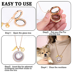 3Pcs Alloy Crystal Rhinestone Wing Paw Print and Glass Magnetic Flat Round Locket Pendant Ball Chain Necklaces for Women&nbsp;NJEW-DR00041