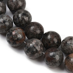 Natural Larvikite Beads Strands&nbsp;G-F792-C03-03