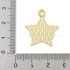 Independence Day Alloy Enamel Pandants&nbsp;FIND-M083-05M-G